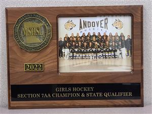 2022 Girls Hockey Section 7AA Champion State Qualifier